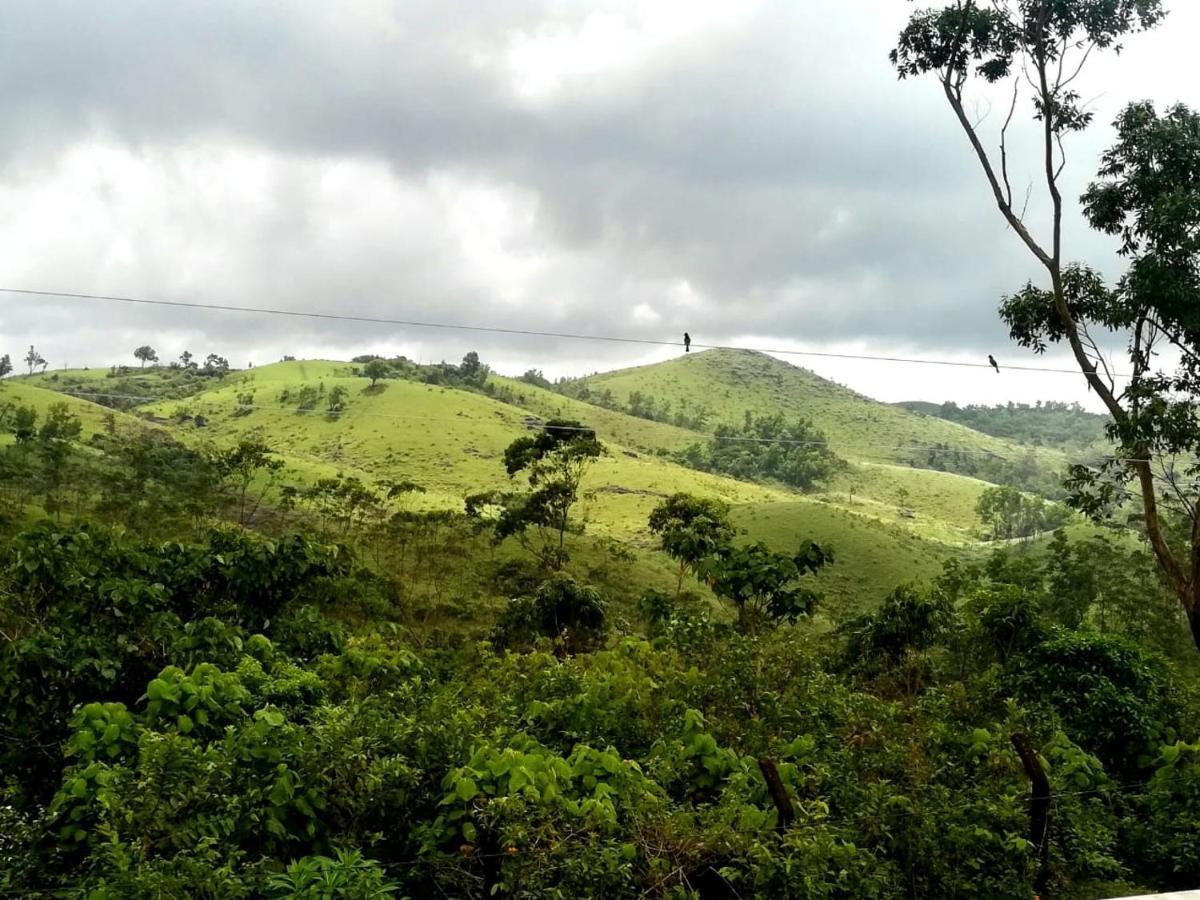 Winter Woods Daire Vagamon Dış mekan fotoğraf