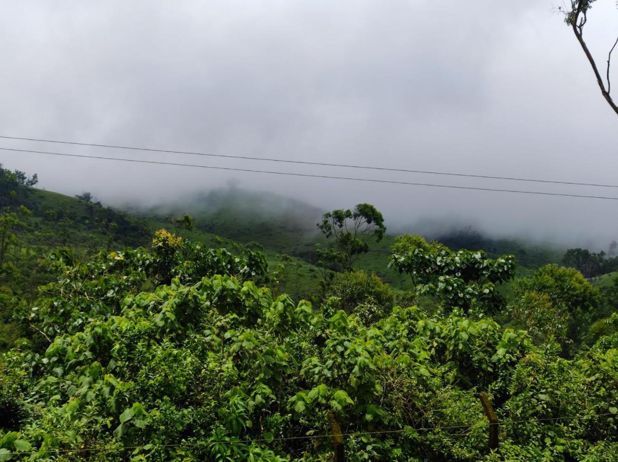 Winter Woods Daire Vagamon Oda fotoğraf