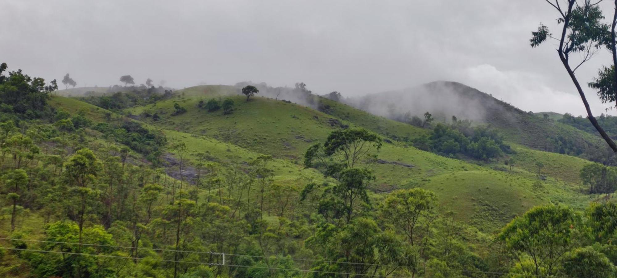 Winter Woods Daire Vagamon Oda fotoğraf